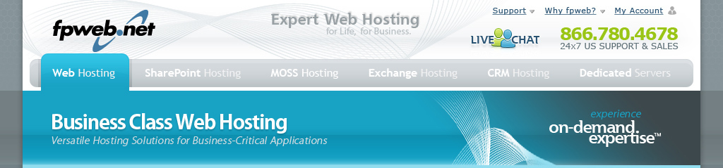 Web Hosting Header